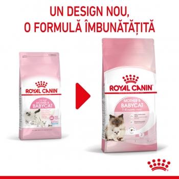 ROYAL CANIN Mother & BabyCat, hrană uscată pisici, mama și puiul, 4kg