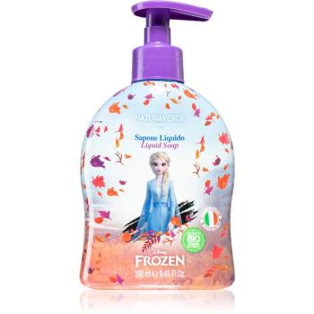 Disney Frozen Liquid Soap săpun lichid 250 ml