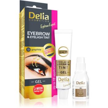 Delia Cosmetics Eyebrow Expert activator vopsea sprâncene culoare 1.1. Graphite 2 x 15 ml