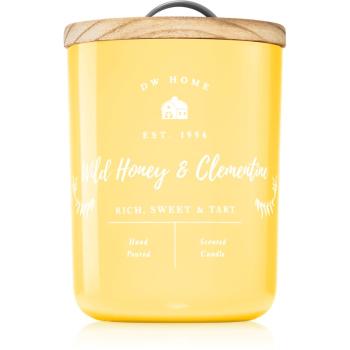 DW Home Farmhouse Wild Honey & Clementine lumânare parfumată 425 g