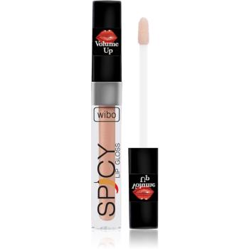 Wibo Lip Gloss Spicy luciu de buze pentru un volum suplimentar 7 3 ml