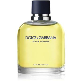Dolce & Gabbana Pour Homme Eau de Toilette pentru bărbați 200 ml