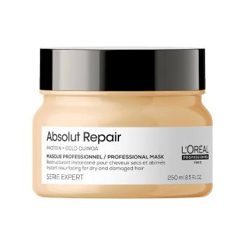 L´Oréal Professionnel Mască de regenerare intensivă pentru părul foarte deteriorat Serie Expert Absolut Repair Gold Quinoa + Protein (Instant Resurfac