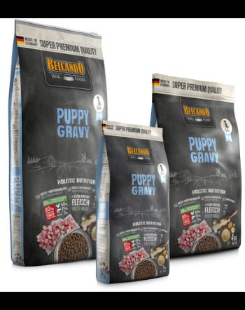 BELCANDO Puppy Gravy hrana uscata pentru pui, varsta 4 luni+, 4 kg