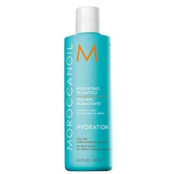 Moroccanoil Șampon hidratant cu ulei de argan pentru toate tipurile de păr (Hydrating Shampoo) 250 ml