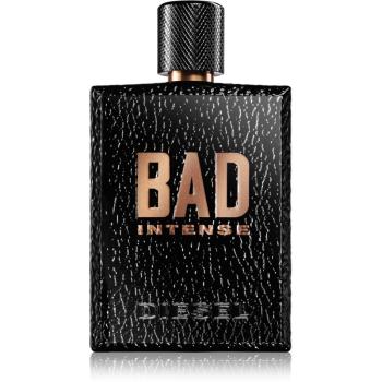 Diesel Bad Intense Eau de Parfum pentru bărbați 125 ml