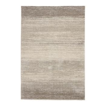 Covor gri/bej 200x290 cm Geneva – Think Rugs