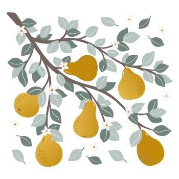 Folie cu stickere 54x50 cm Pears On A Branch – Lilipinso