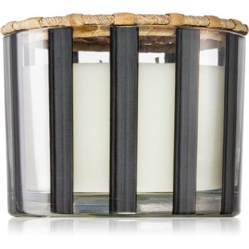 Paddywax Al Fresco Palo Santo & Sage lumânare parfumată 340 g