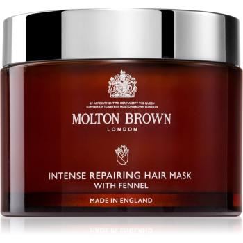 Molton Brown Intense Repairing Hair Mask With Fennel masca de par regeneratoare 250 ml