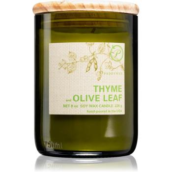 Paddywax Eco Green Thyme & Olive Leaf lumânare parfumată 226 g