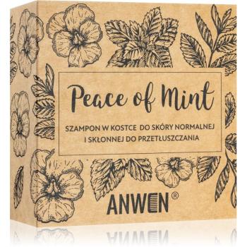 Anwen Peace of Mint șampon solid in alu can 75 g