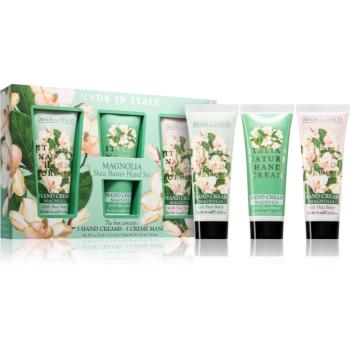 La Florentina Magnolia Shea Butter Hand Set set cadou (de maini)