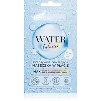 Bielenda Water Balance mască textilă hidratantă 1 buc