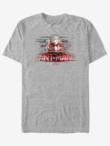 ZOOT.Fan Marvel Ant-Man and The Wasp Tricou Gri