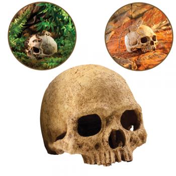Decor Primate Skull