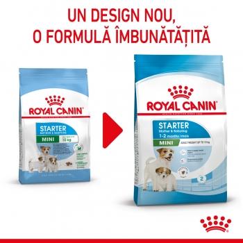 ROYAL CANIN Mini Starter Mother & BabyDog, mama și puiul, hrană uscată câini, 8kg