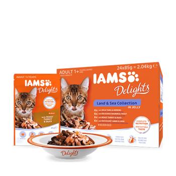 Iams Delights Cat Land&Sea Collection Multipack in Jelly, 12x85 g