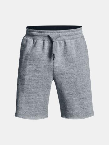 Under Armour UA Project Rock Originators Pantaloni scurti Gri