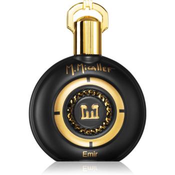 M. Micallef Emir Eau de Parfum pentru bărbați 100 ml