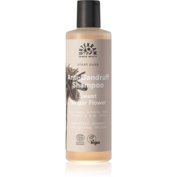 Urtekram Sweet Ginger Flower șampon hidratant anti-mătreață cu extracte de aloe si ghimbir 250 ml