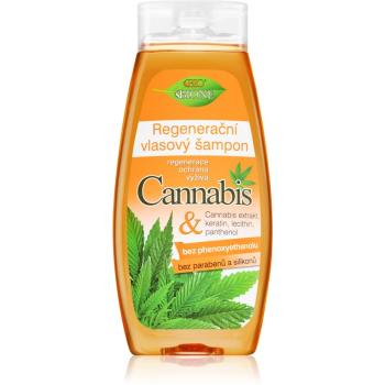 Bione Cosmetics Cannabis sampon pentru regenerare 400 ml