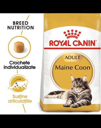 ROYAL CANIN Hrana uscata pentru pisici adulte rasa Maine Coon 10 kg + hrana umeda Mainecoon 12x85 g