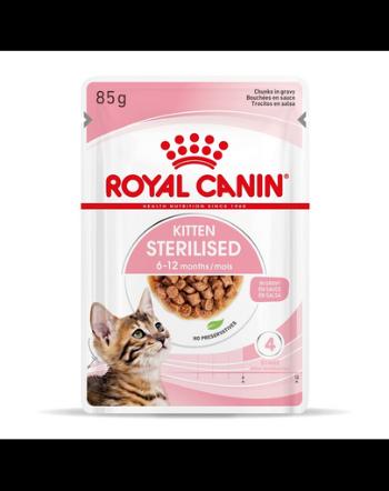 ROYAL CANIN Kitten Sterilised hrană umedă în sos pentru pisoi până la vârsta de 12 luni, sterilizată 48 x 85 g