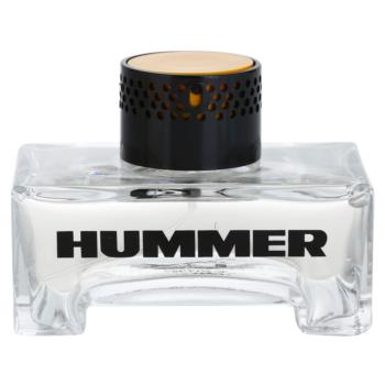Hummer Hummer Eau de Toilette pentru bărbați 125 ml