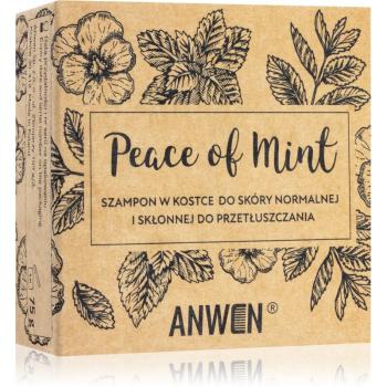 Anwen Peace of Mint șampon solid without alu can 75 g
