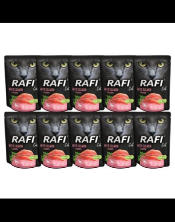 DOLINA NOTECI Rafi Cat mancare umeda pisici, cu somon 10x300 g