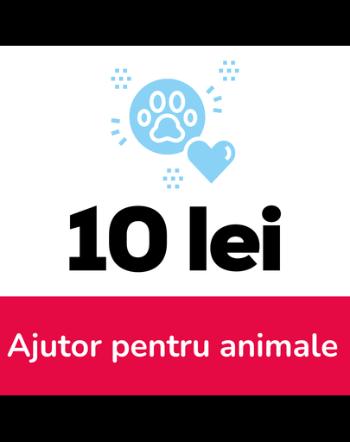 Ajutor pentru animale aflate in dificultate 10 lei