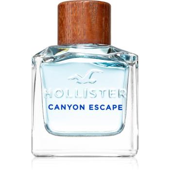 Hollister Canyon Escape Eau de Toilette pentru bărbați 100 ml