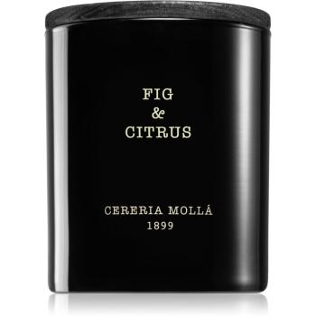 Cereria Mollá Boutique Fig & Citrus lumânare parfumată 230 g