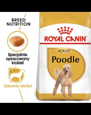 Royal Canin Poodle Adult Hrană Uscată Câine 500g