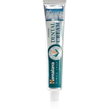 Himalaya Herbals Dental Cream pasta de dinti pentru albire cu sare de mare 100 ml
