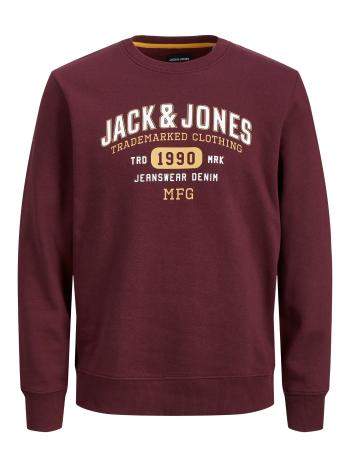 Jack&Jones Hanorac pentru bărbați JJSTAMP Regular Fit 12211549 Port Royale M