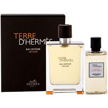 Hermes Terre D`Hermes Eau Intense - EDT 100 ml + gel de duș 80 ml