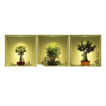 Set 3 autocolante cu efect 3D Ambiance Bonsai Trees On Spot