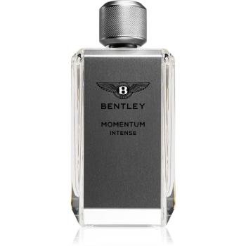 Bentley Momentum Intense Eau de Parfum pentru bărbați 100 ml