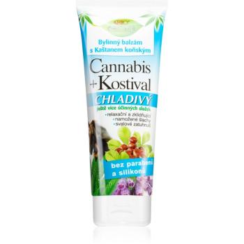 Bione Cosmetics Cannabis Kostival balsam cu efect de racorire pentru mușchi, articulații și tendoane 200 ml