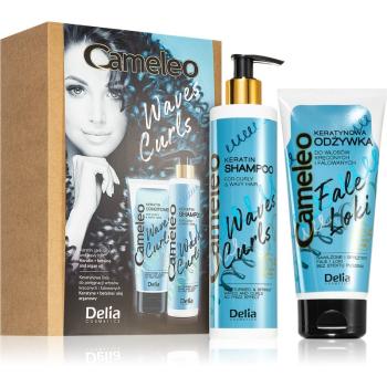 Delia Cosmetics Cameleo Waves and Curls set cadou (pentru par ondulat si cret)