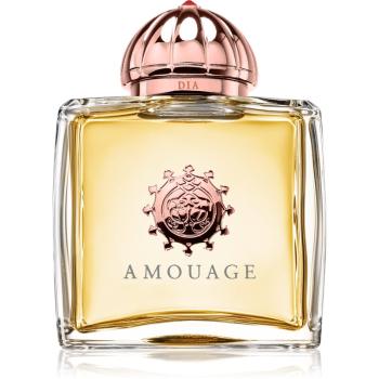 Amouage Dia Eau de Parfum pentru femei 100 ml