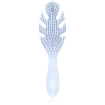 Wet Brush Go Green perie de par Lavender