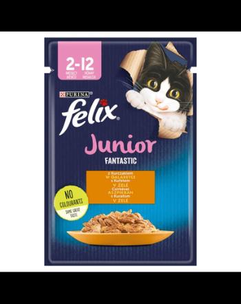 FELIX FANTASTIC Hrana umeda cu pui in jeleu pentru pisici junior 85g
