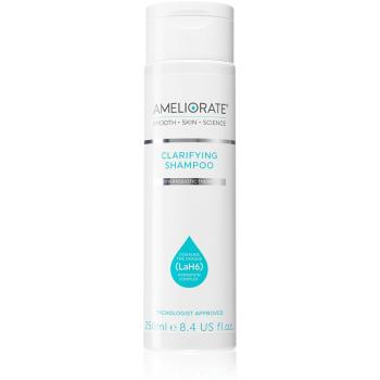 Ameliorate Clarifying Shampoo curatarea profunda a scalpului pentru un scalp uscat, atenueaza senzatia de mancarime 250 ml