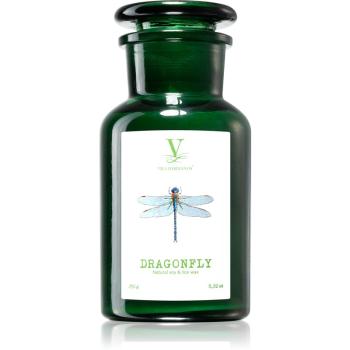 Vila Hermanos Talisman Dragonfly lumânare parfumată 250 g