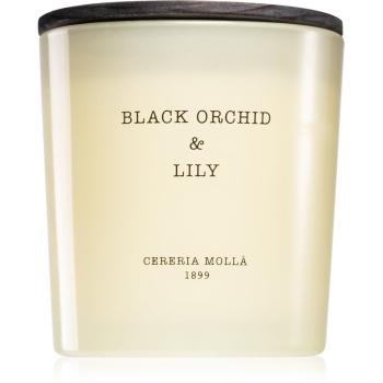 Cereria Mollá Boutique Black Orchid & Lily lumânare parfumată 600 ml