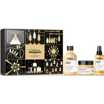 L’Oréal Professionnel Serie Expert Absolut Repair set cadou (pentru păr uscat și deteriorat)