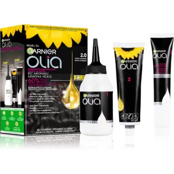 Garnier Olia Big Kit Culoare permanenta pentru par culoare 2.0 Black Diamond